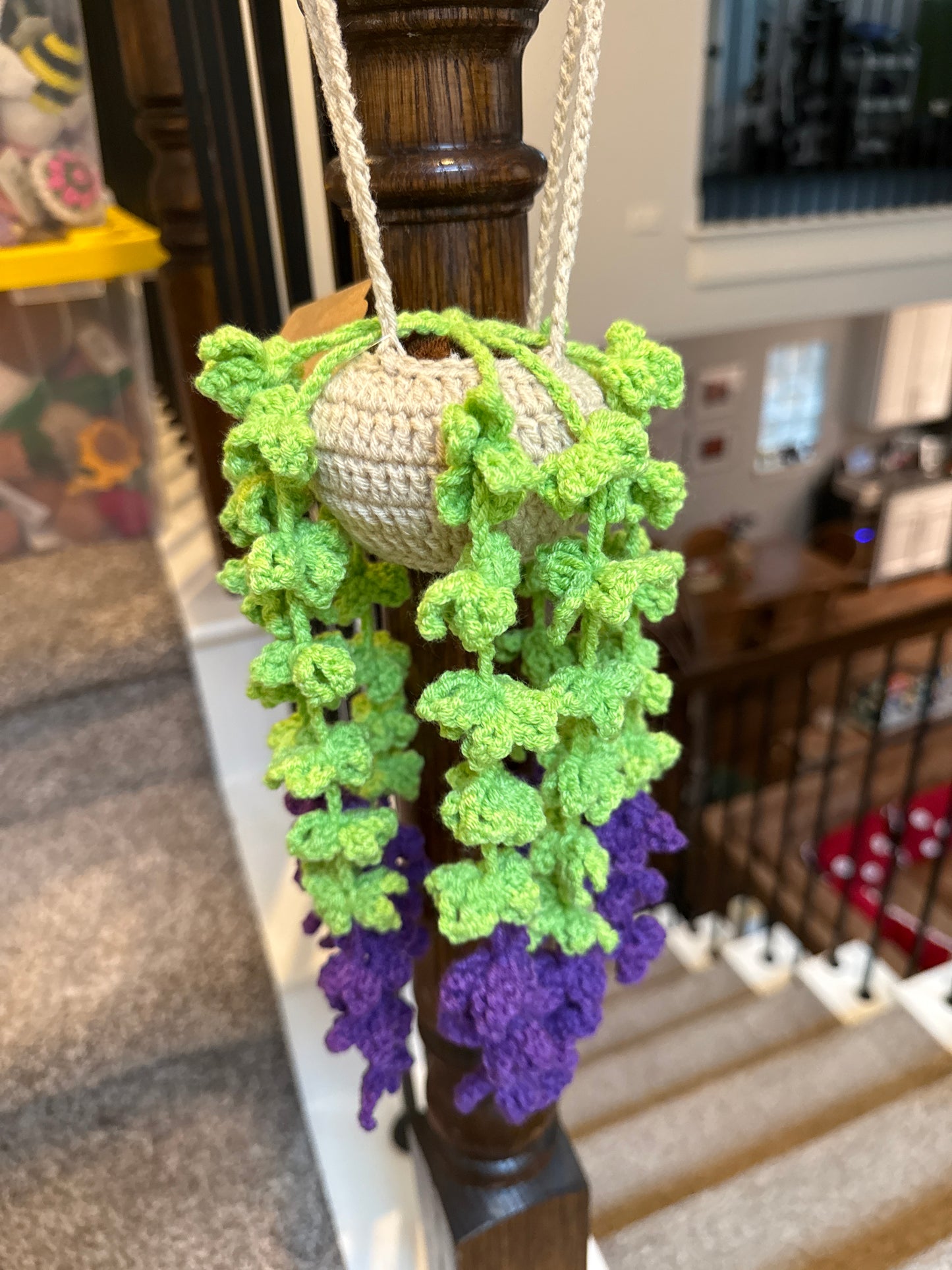 Flower - Hanging Plant