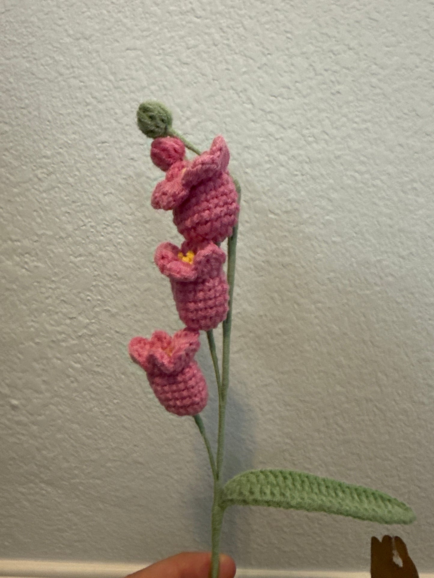 ดอกไม้ - ดอกไม้ป่าก้านยาวสีสันสดใส