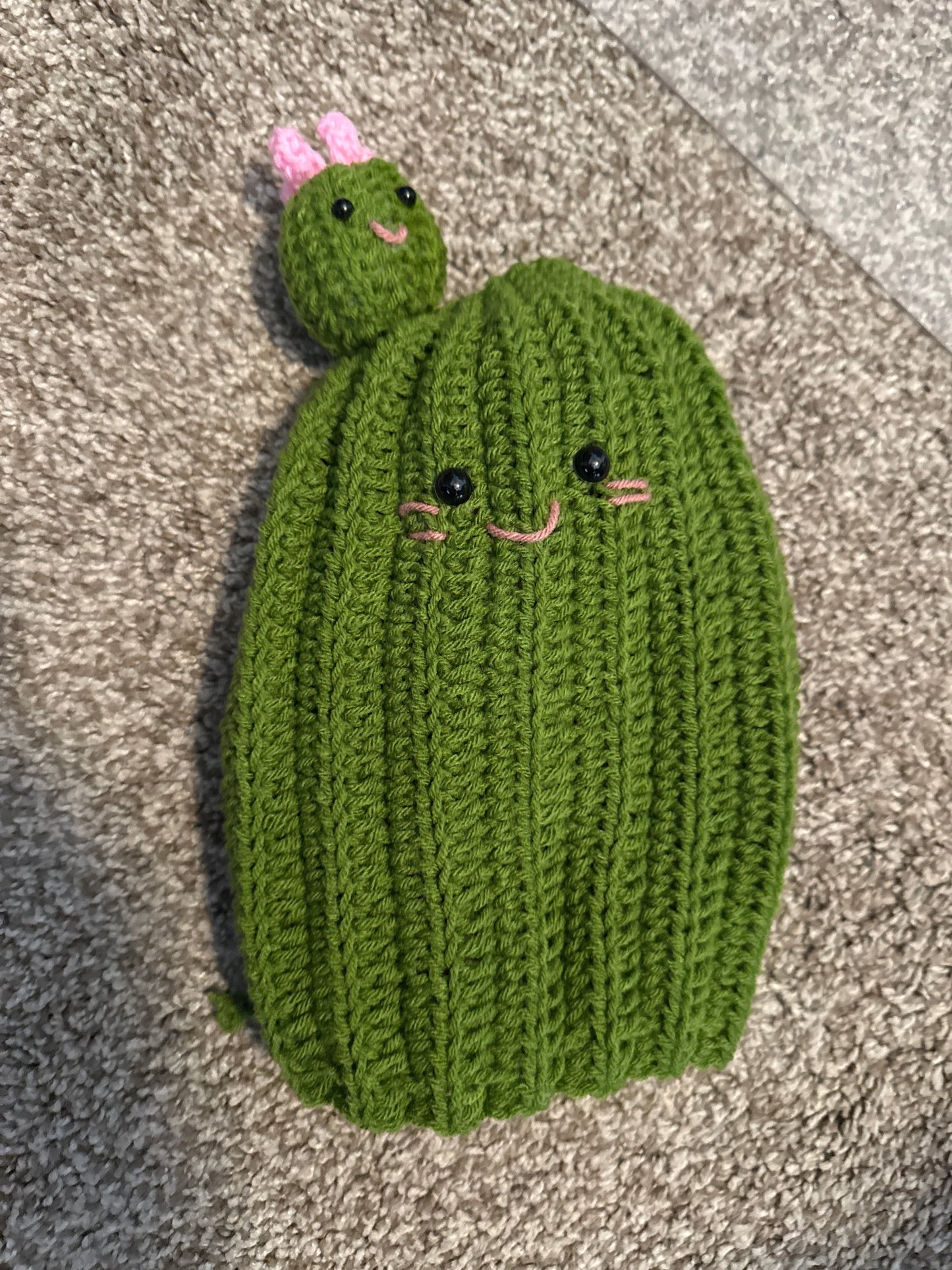 Toilet Paper Crochet Cover - Catus