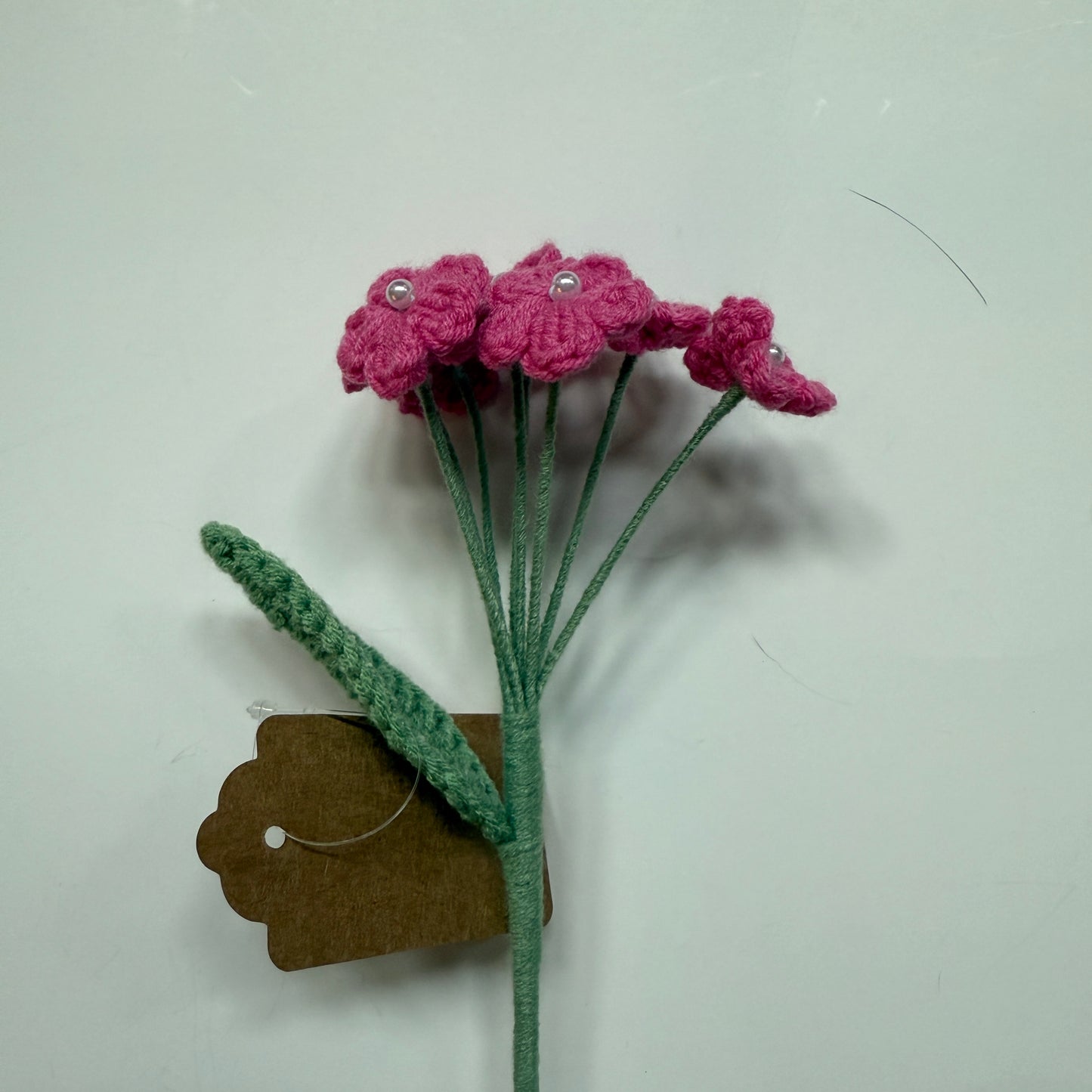 Flower - Pearl Flower