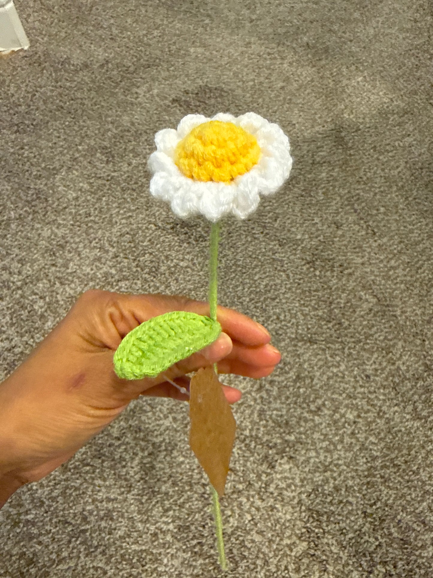 Flower - Random Flowers