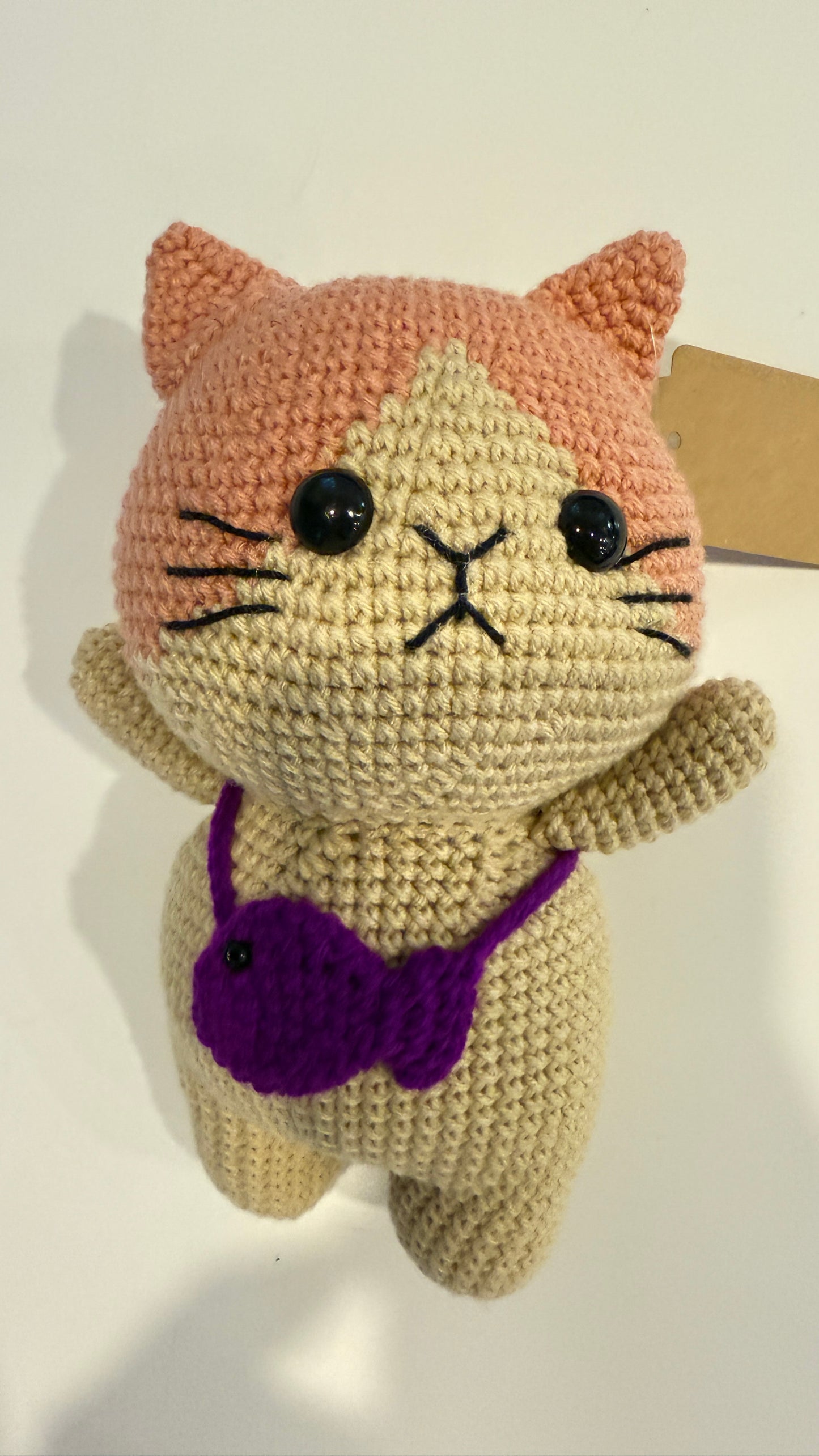 Animal - Kitty with Fish - 1033