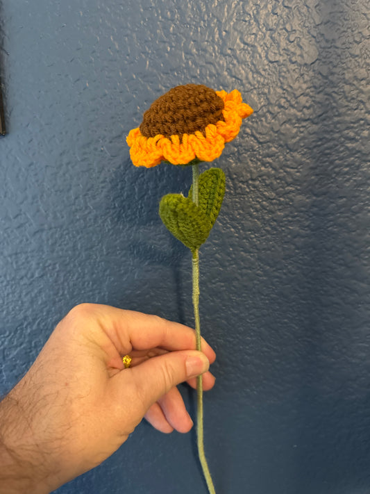 Flower - Sunflower - Two Leaf