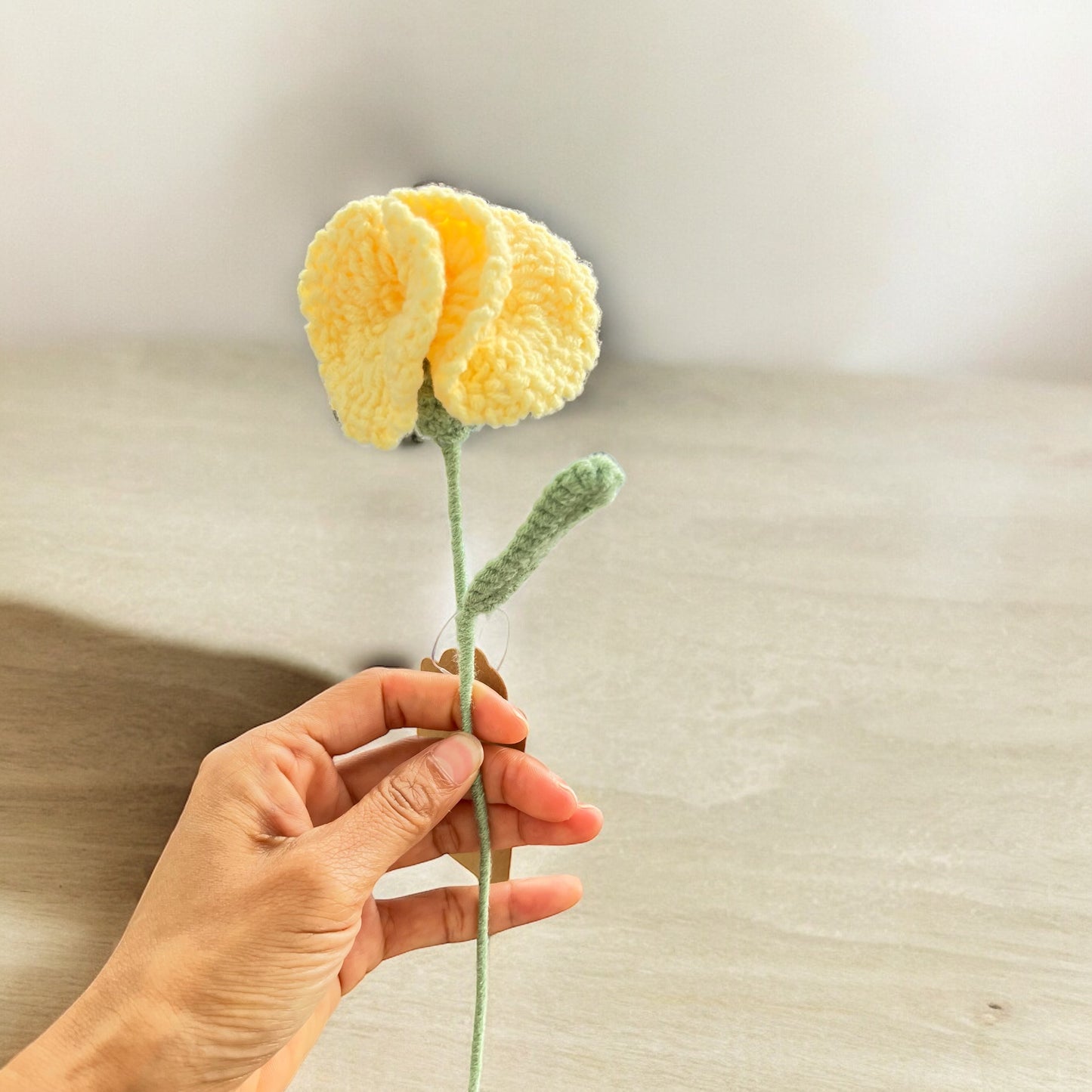 Flower - Ruffled Begonia