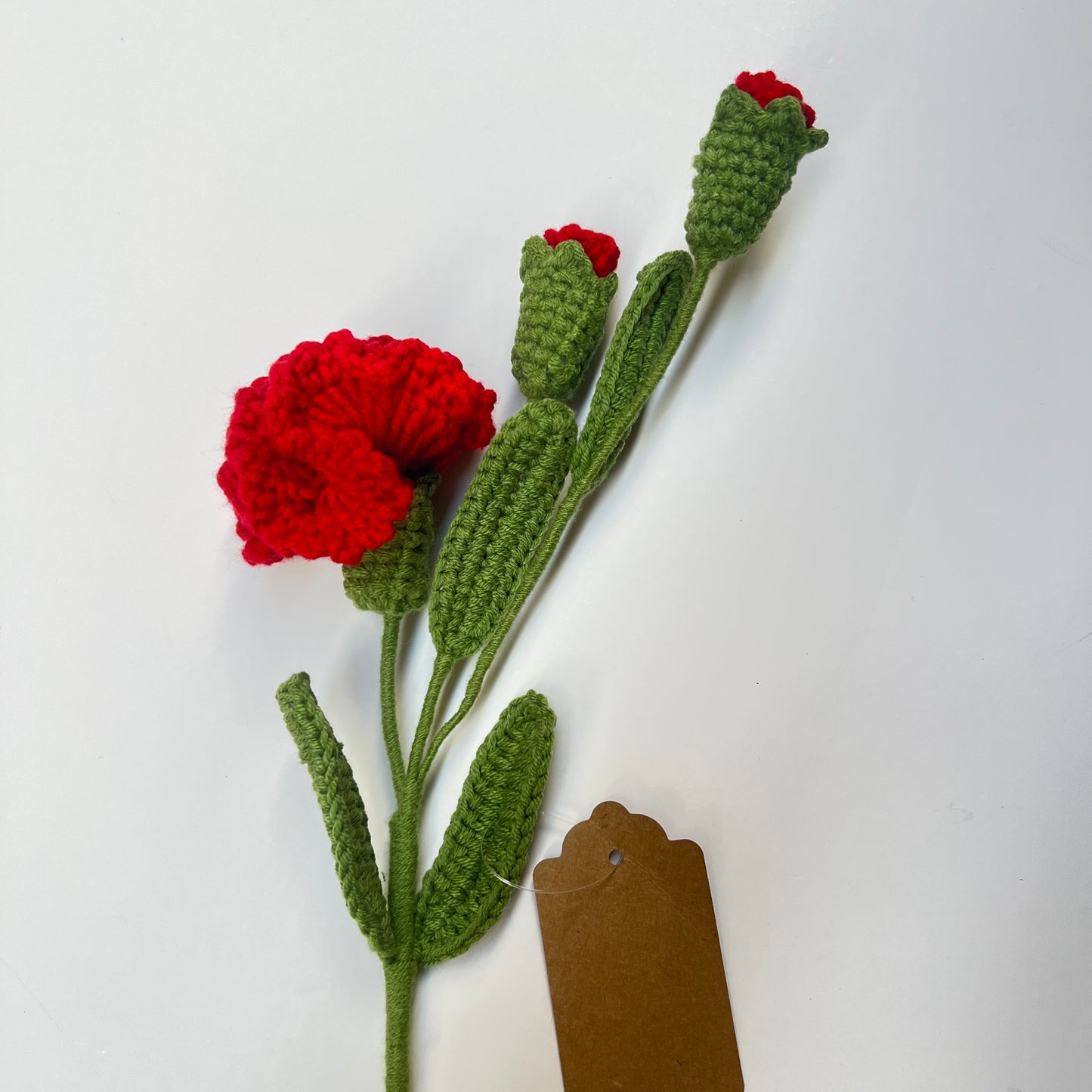 Flower - Carnation with two buds