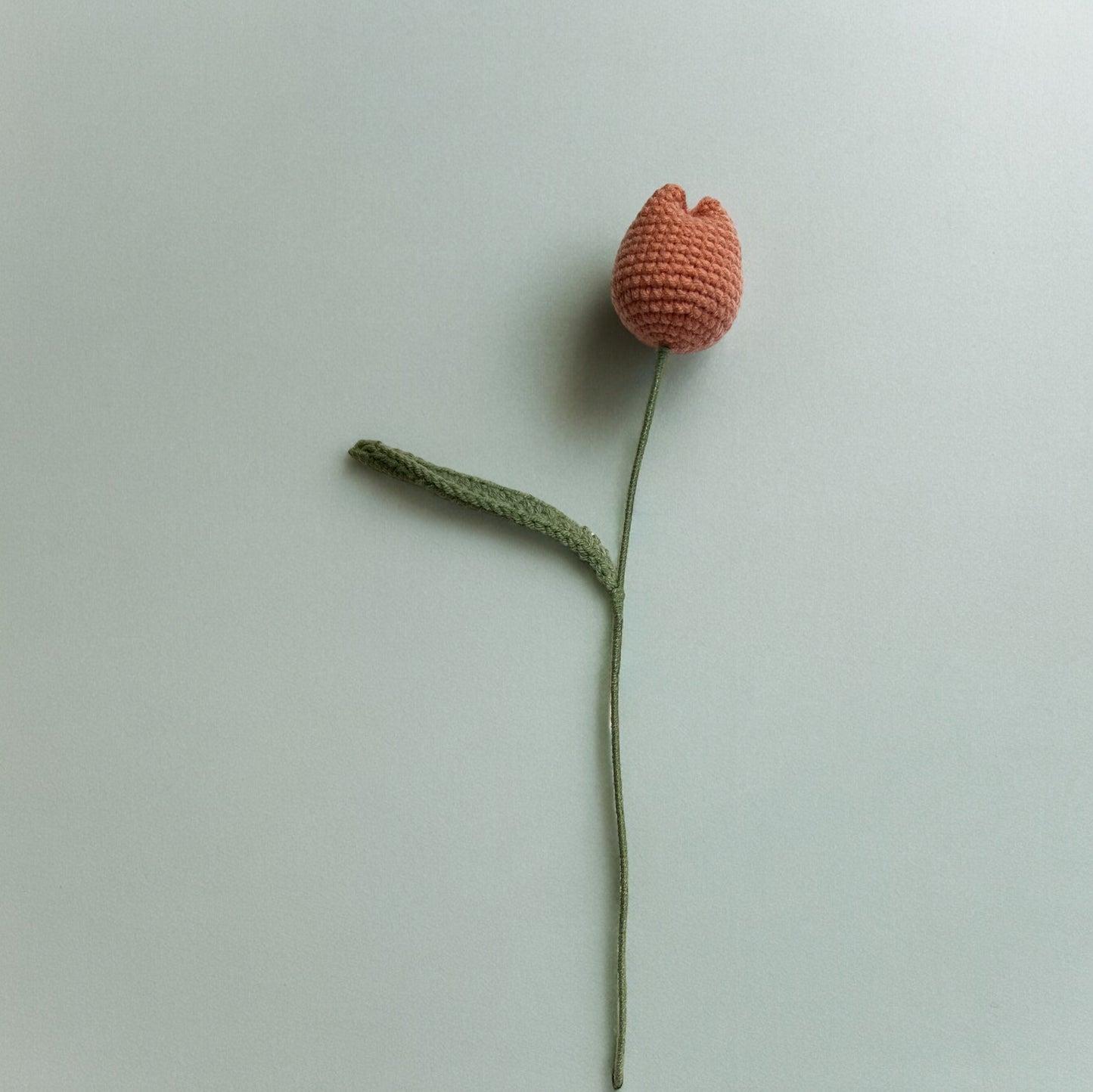 Flower - Plump Tulip