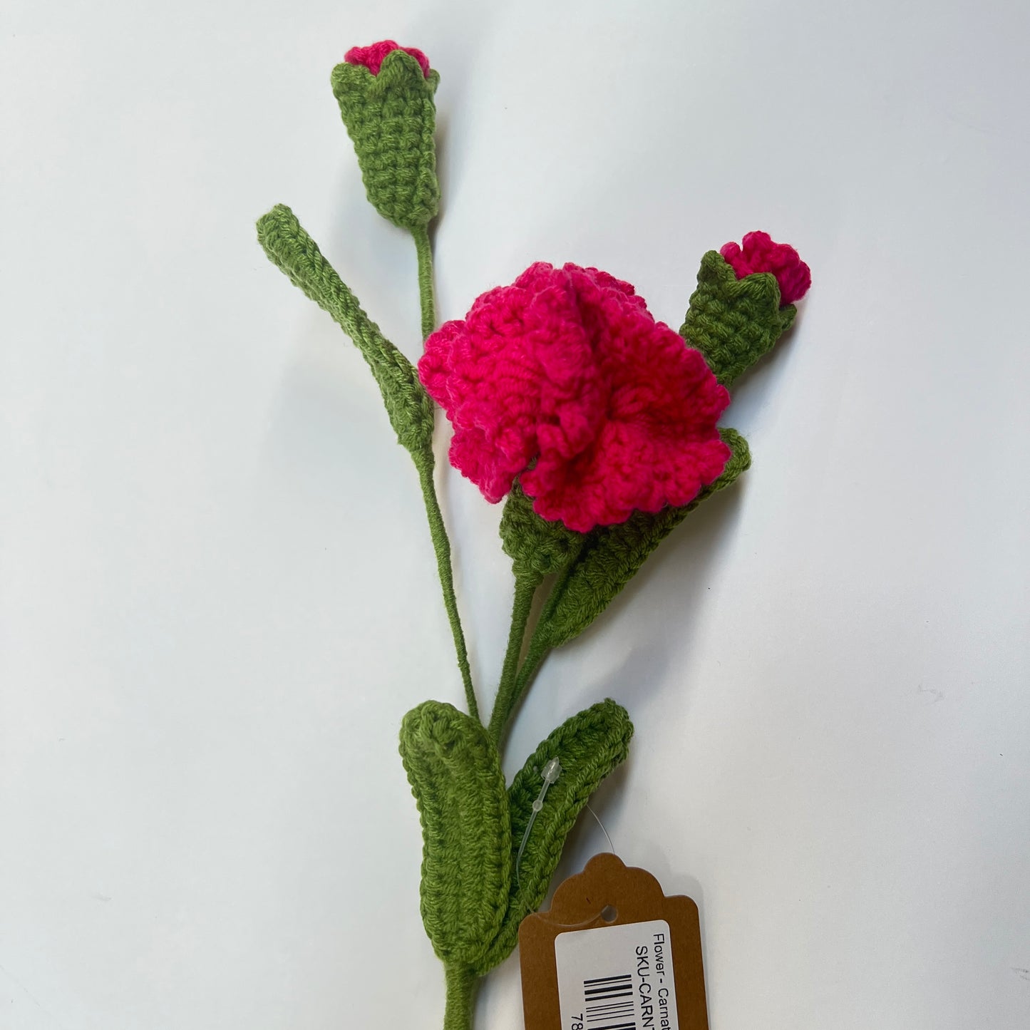 Flower - Carnation with two buds