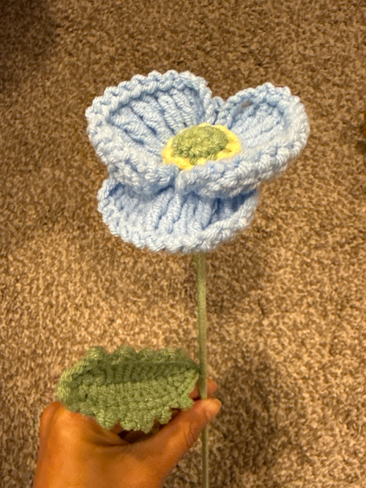 Flower - Poppy Flower V2