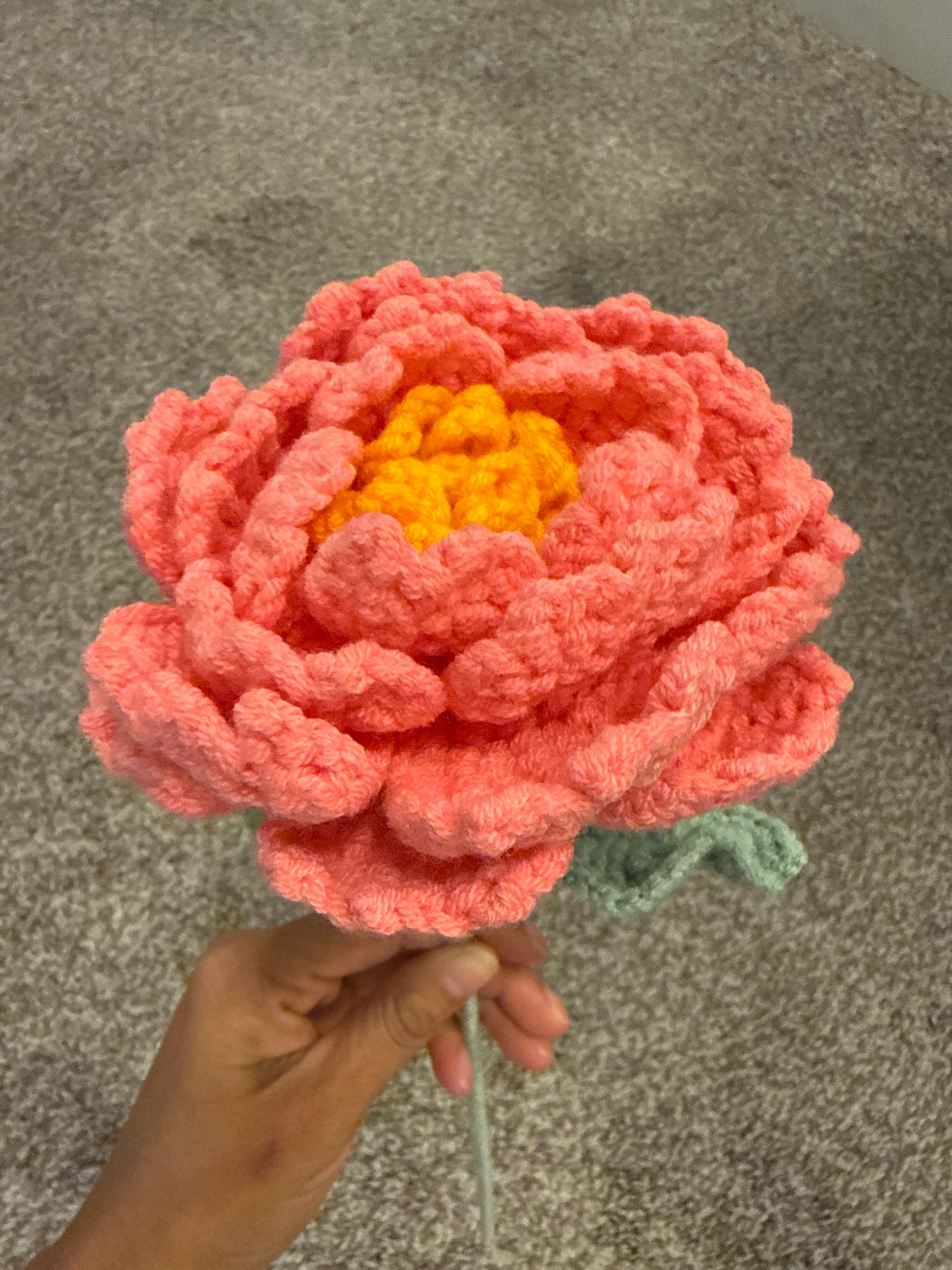 Flower - Peony