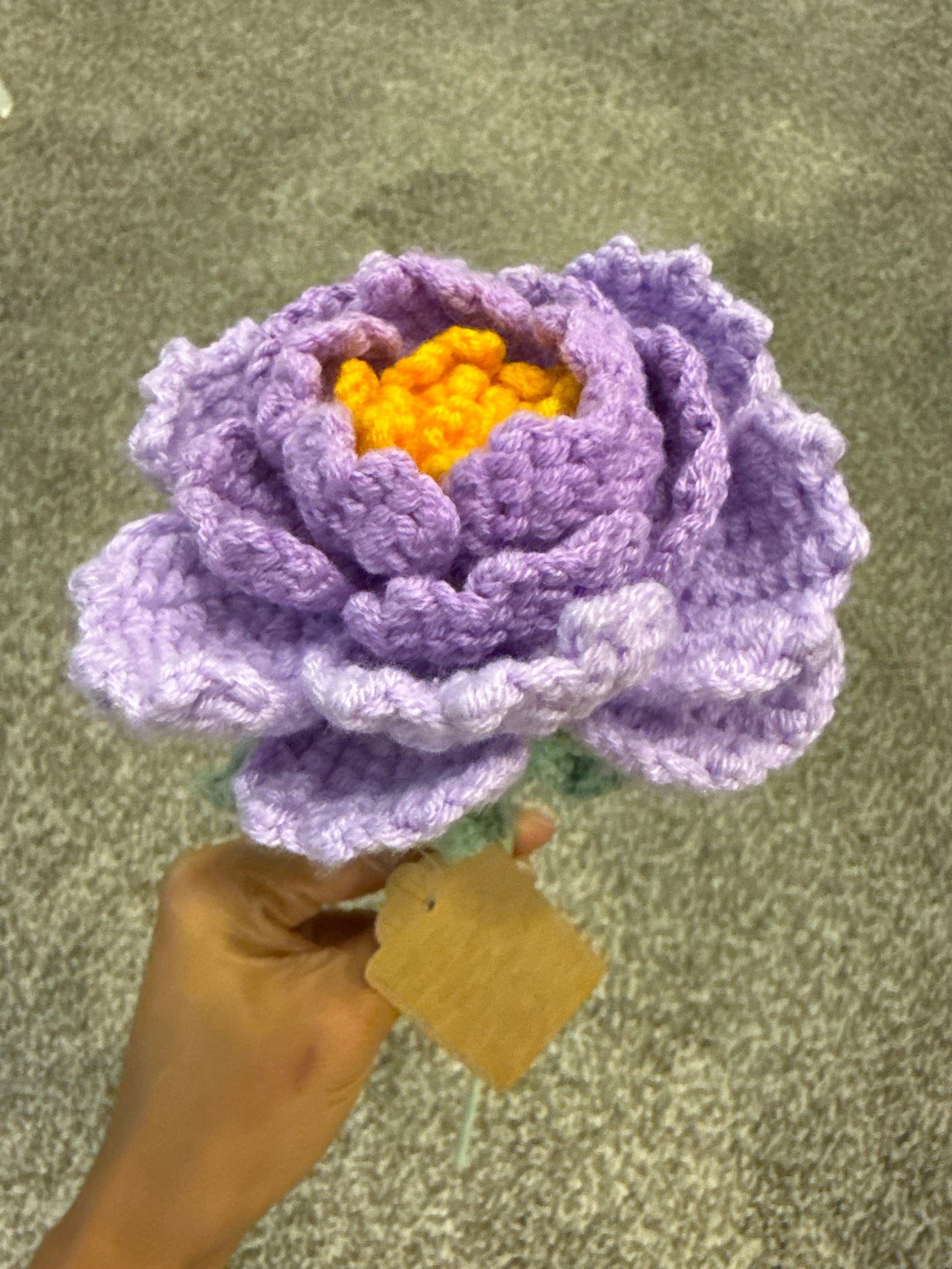 Flower - Peony