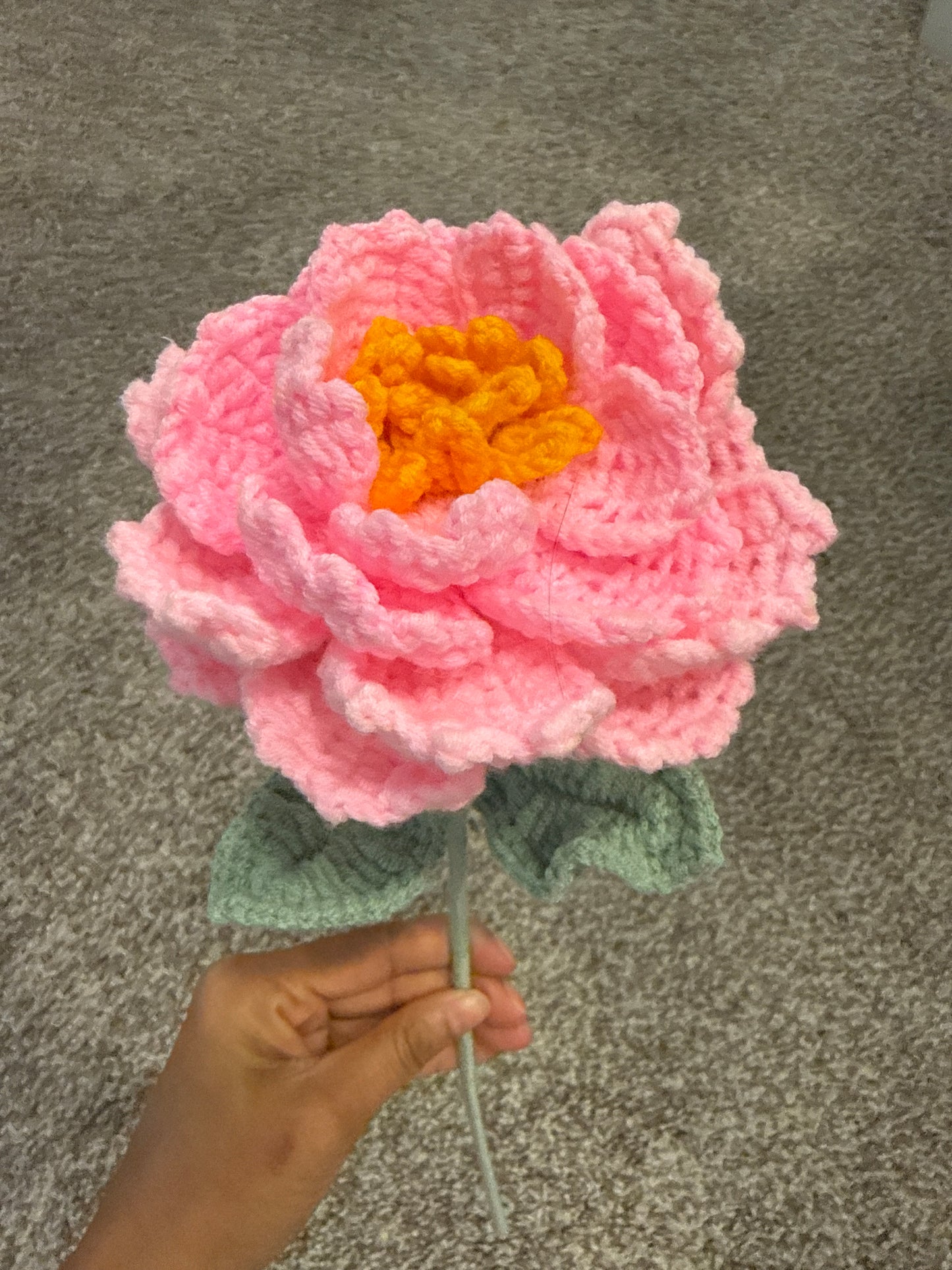 Flower - Peony