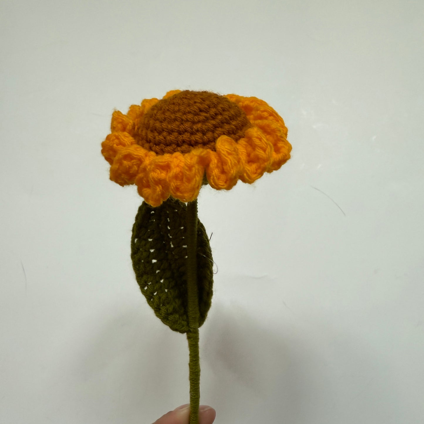 Flower - Long-Stemmed Sunflower