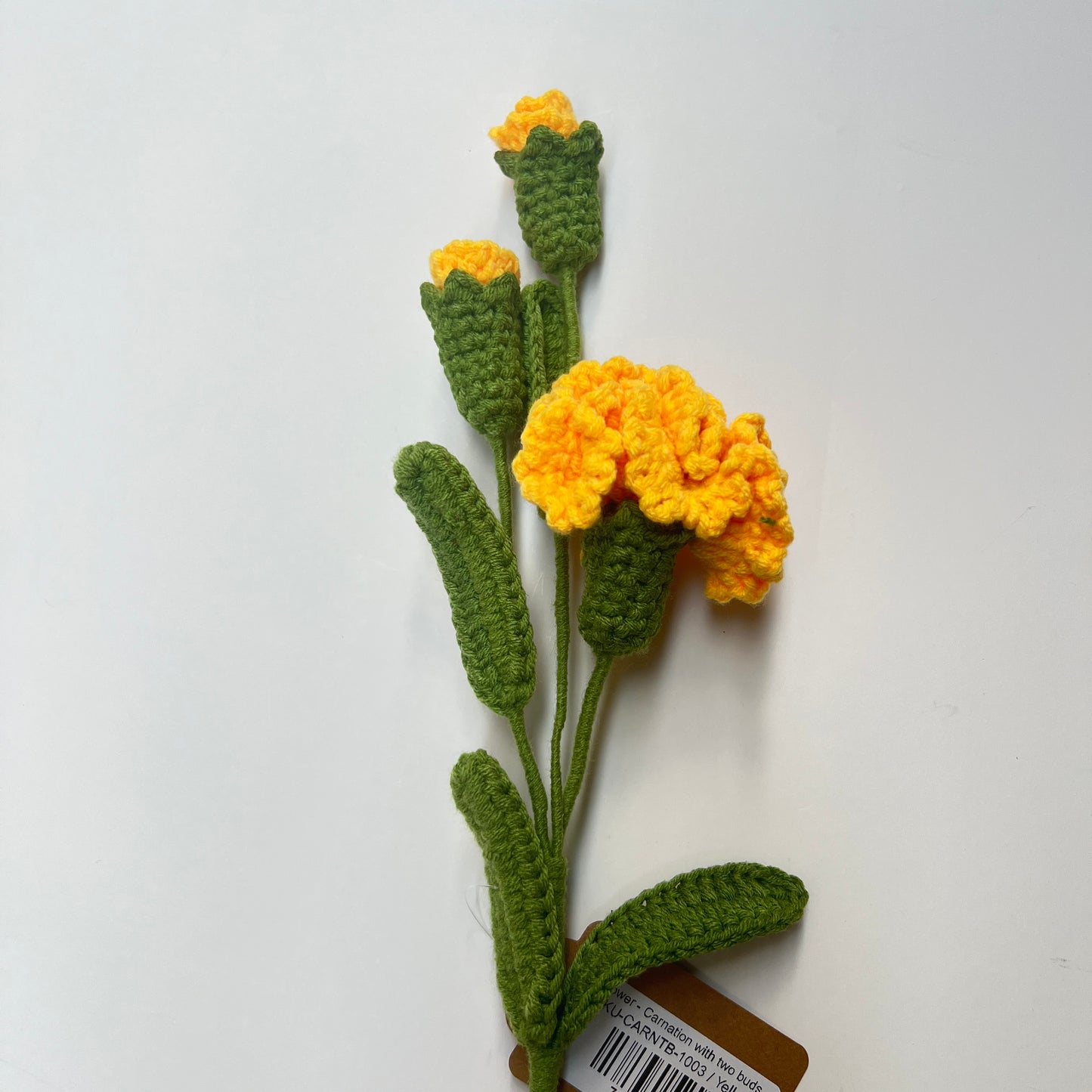 Flower - Carnation with two buds