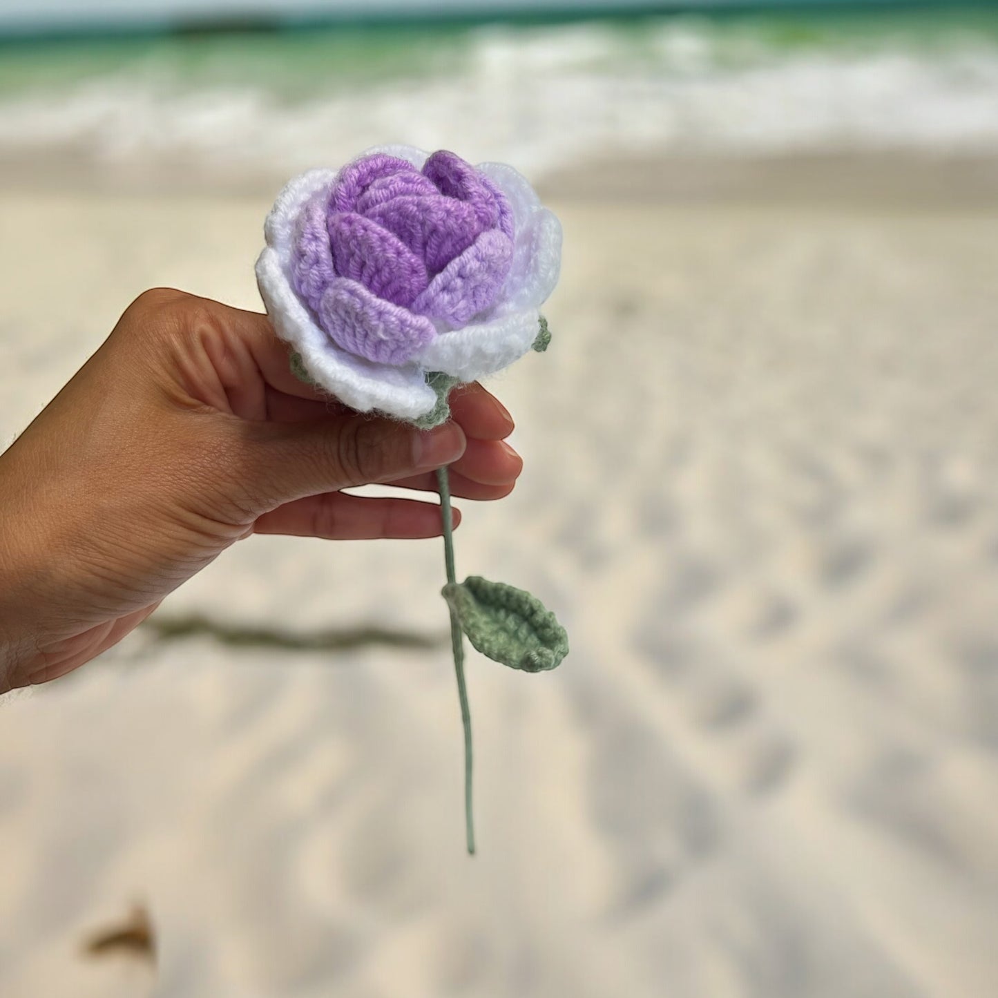 Flower - Colorful Long-Stemmed Wildflower