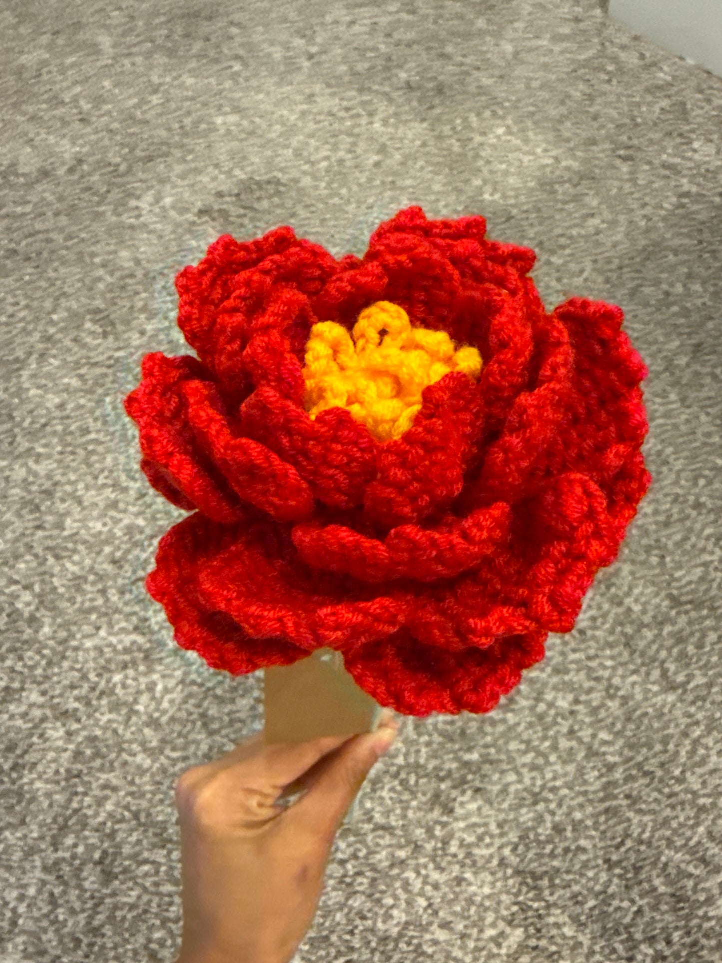 Flower - Peony